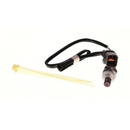 motone-15603371