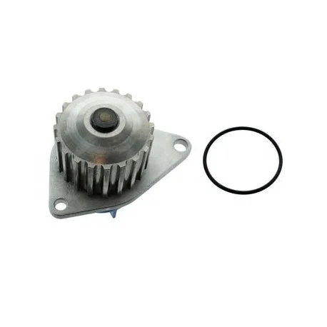 motone-15642597