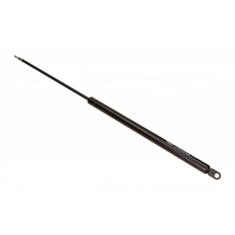 motone-15646772