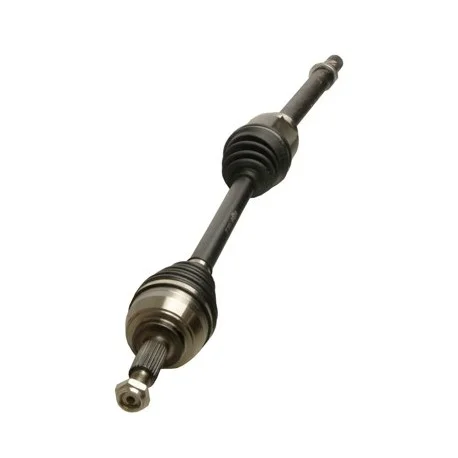 motone-15804154