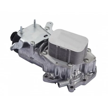 motone-15833149