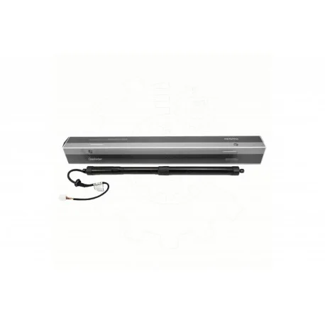 motone-15918401