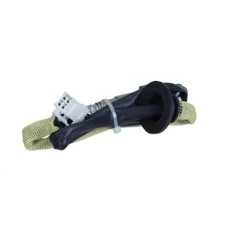 motone-25153613