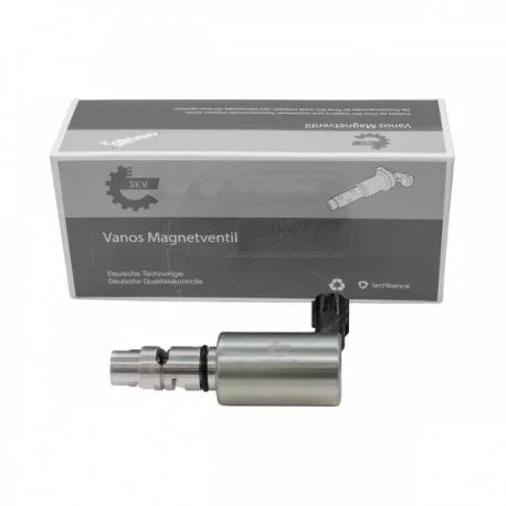 motone-25173655