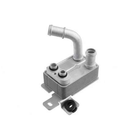 motone-25208669