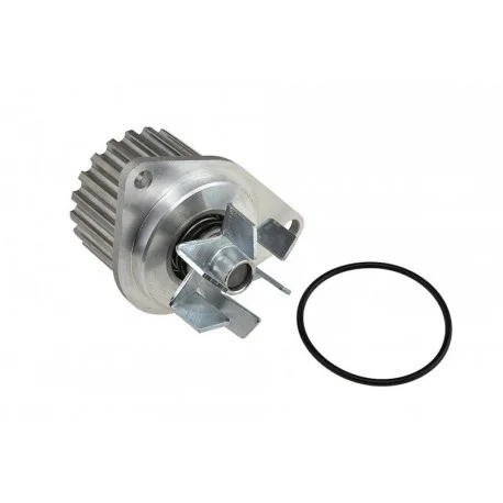 motone-25224424