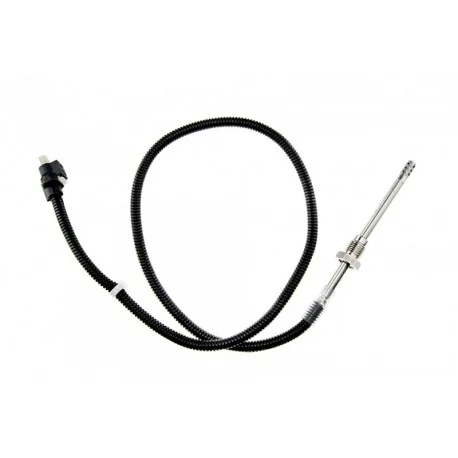 motone-25319146
