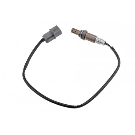 motone-25351691
