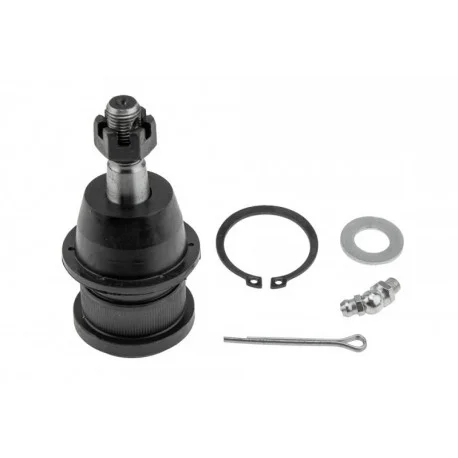 motone-25395435