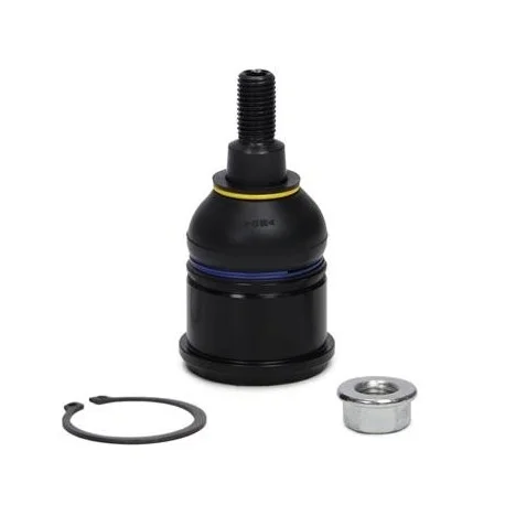 motone-25527917