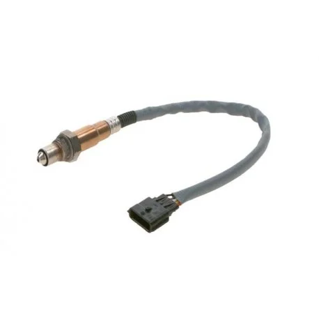 motone-25542229