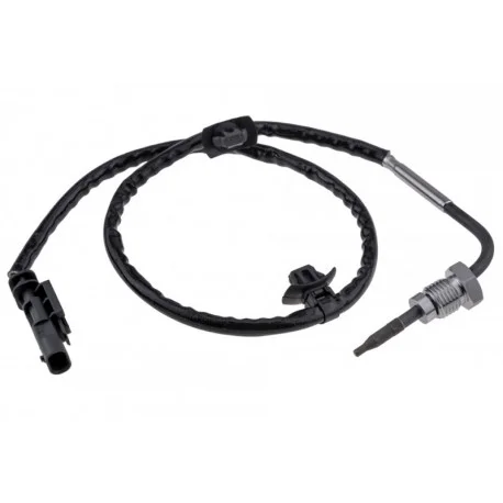 motone-25546773