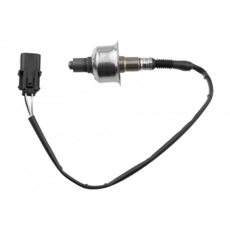 motone-25560413