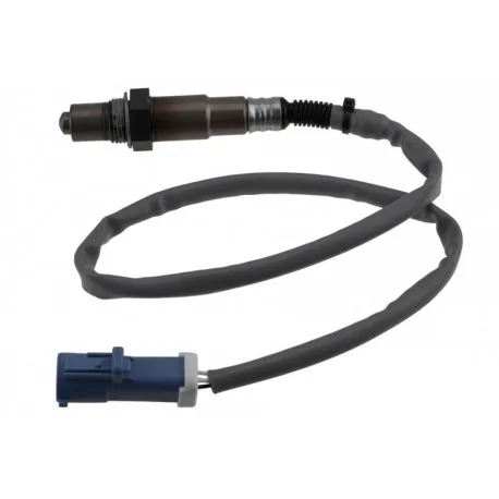 motone-25560451