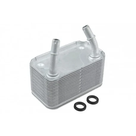 motone-25751250