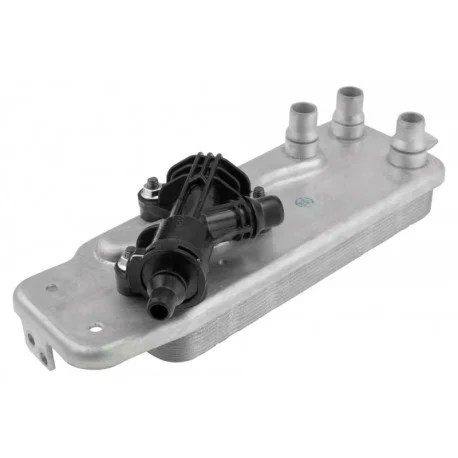 motone-25753412