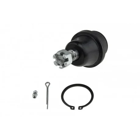 motone-25769394
