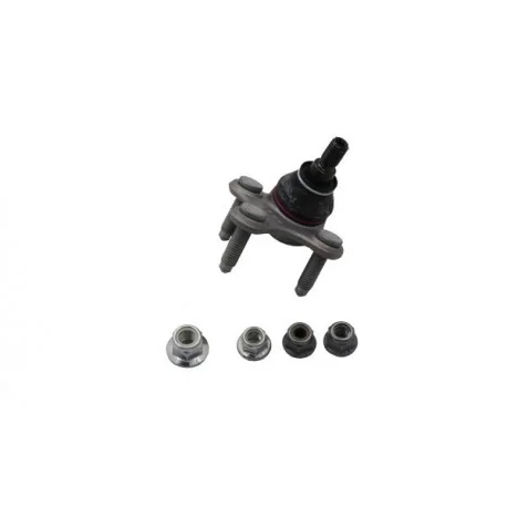motone-35056889