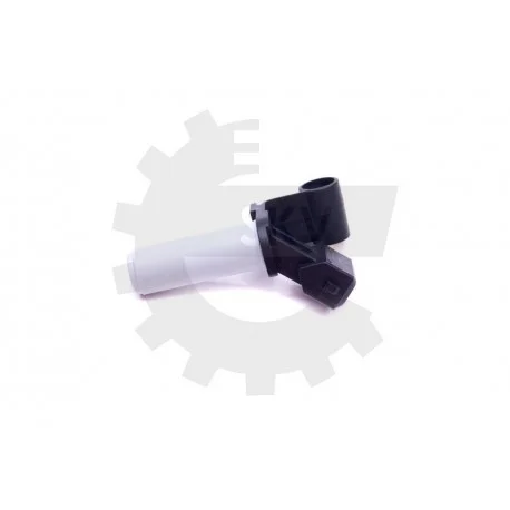 motone-35256896