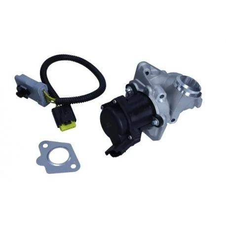 motone-35336345