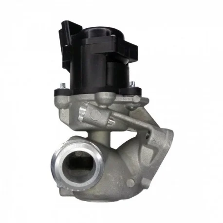 motone-35375509