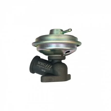 motone-35375837