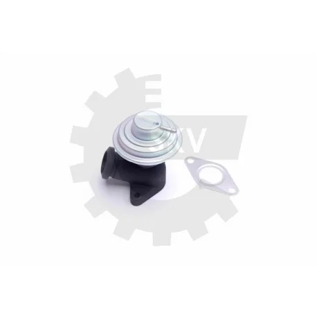 motone-35434183