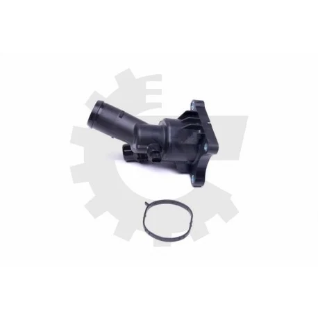motone-35435252