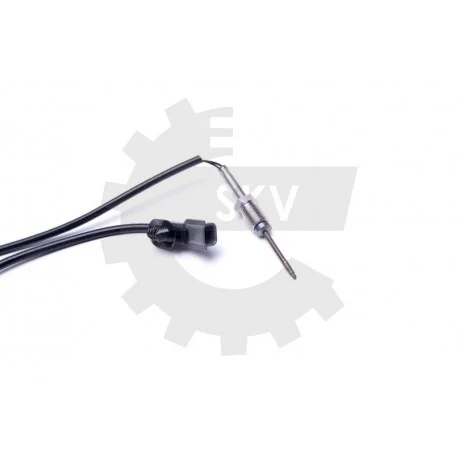 motone-35449171