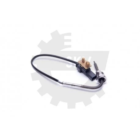 motone-35449185