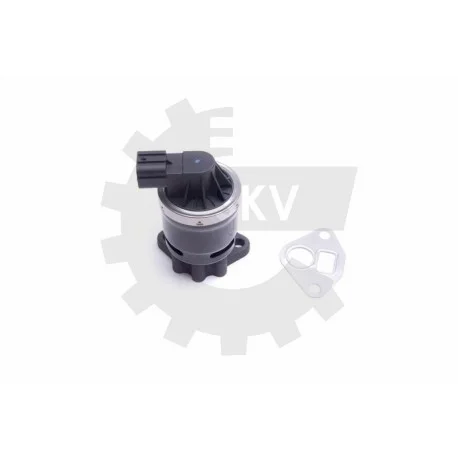 motone-35459204