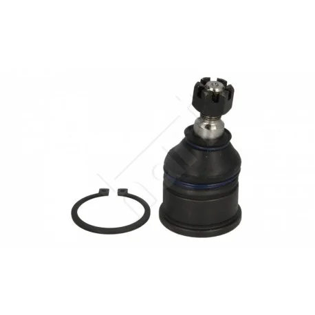 motone-35517573