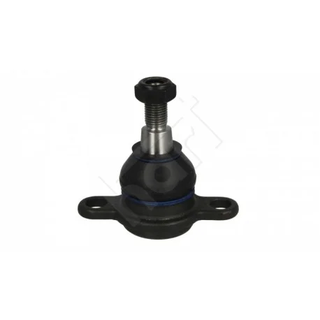 motone-35518668