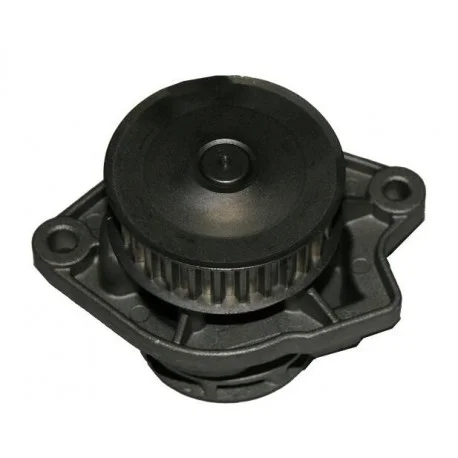 motone-35564322