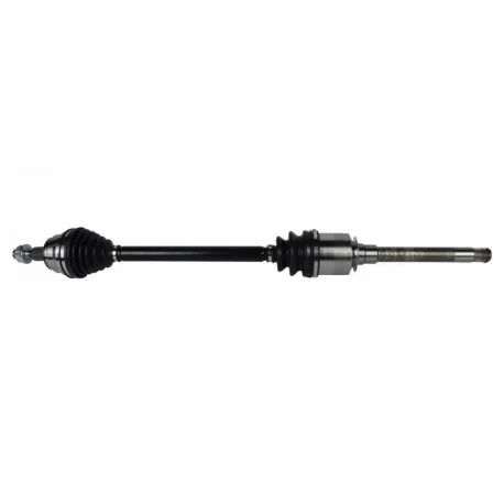 motone-35618999