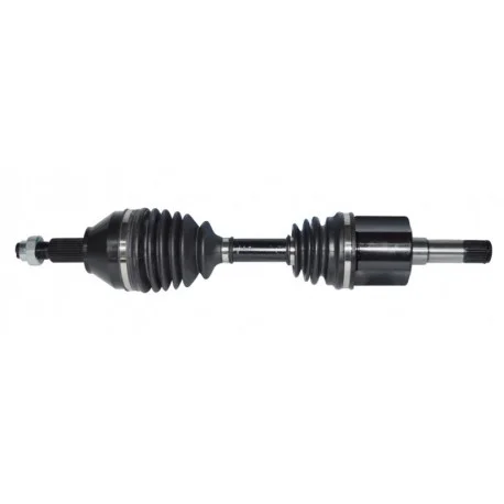 motone-35619481