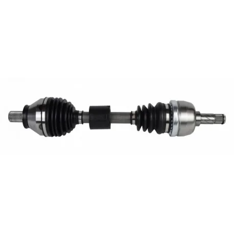 motone-35624934
