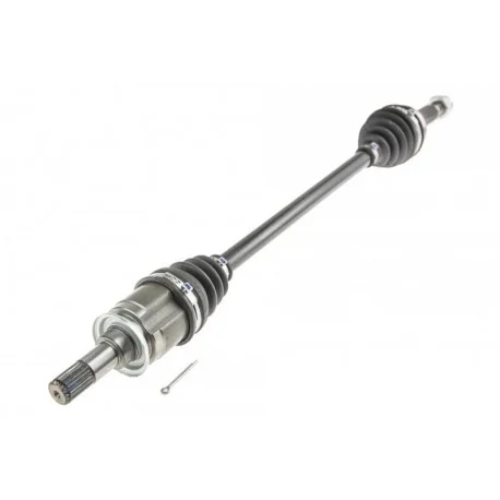motone-35752088