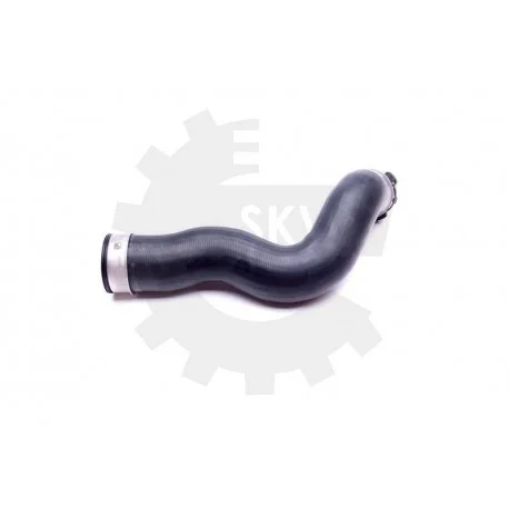 motone-36004226