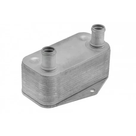 motone-36106603