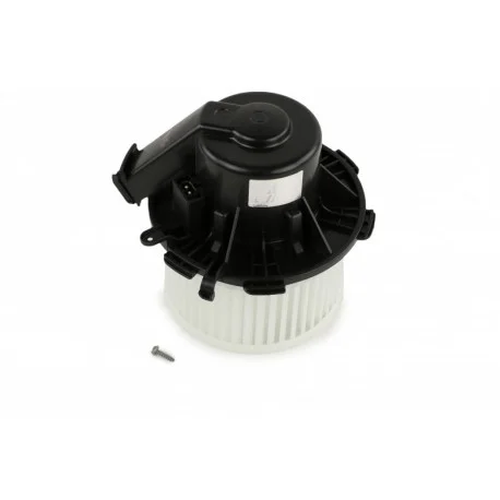 motone-36186464