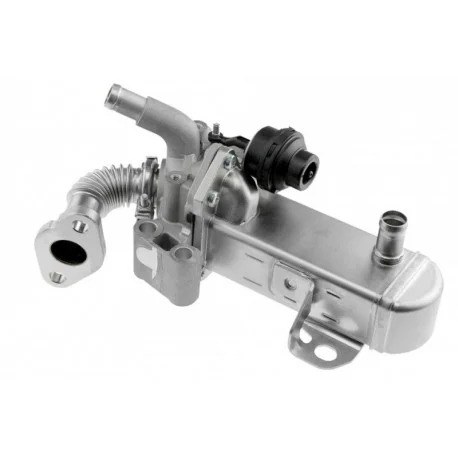 motone4968573