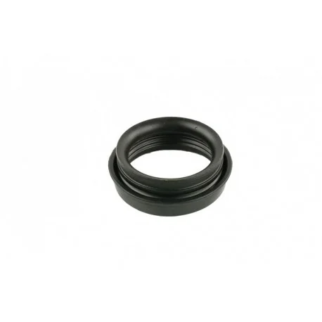 motone5295494