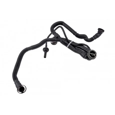 motone5518242