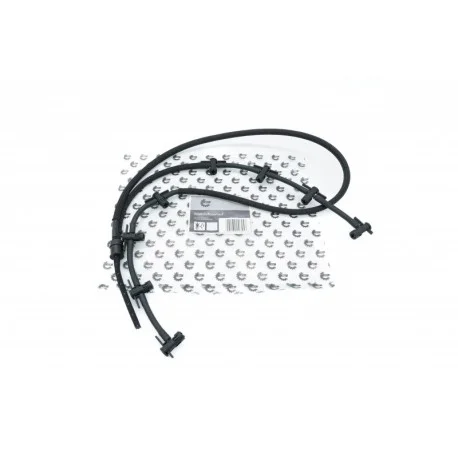 motone5563298