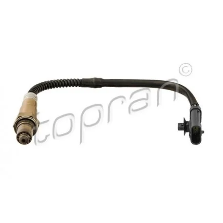 motone5597571