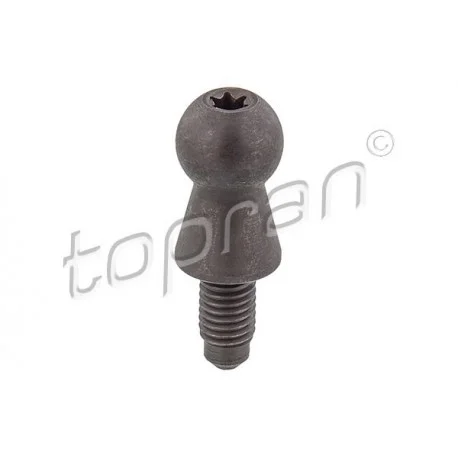 motone5649883