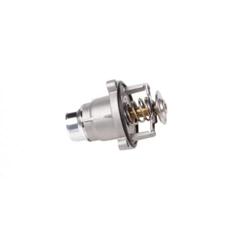 motone5894619