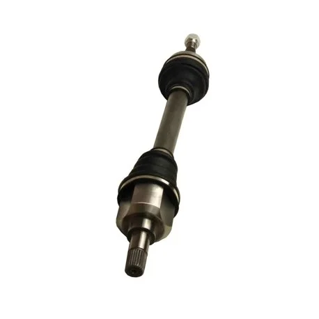 motone6149601