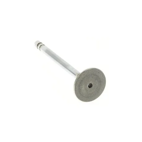 motone6198756